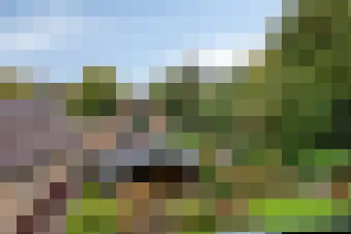 Tusseler 113 Lochem thumbnail 31