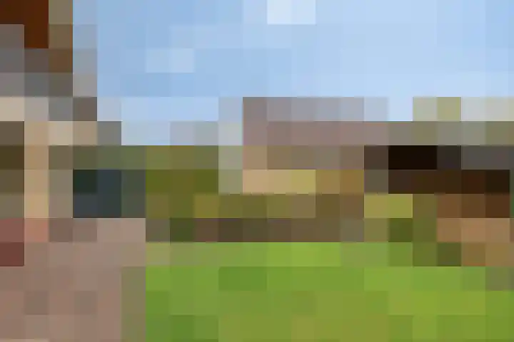 Tusseler 113 Lochem thumbnail 34