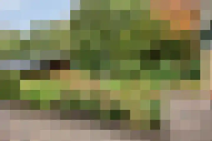 Tusseler 113 Lochem thumbnail 35