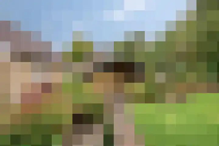 Tusseler 113 Lochem thumbnail 36