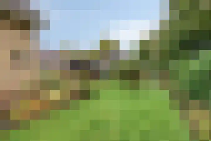 Tusseler 113 Lochem thumbnail 39