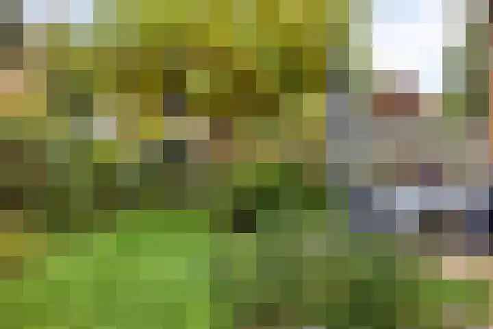 Tusseler 113 Lochem thumbnail 40