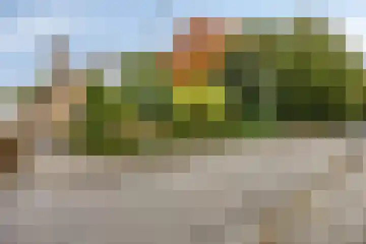 Tusseler 113 Lochem thumbnail 42