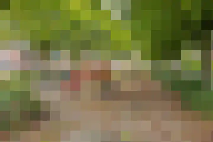 Tusseler 113 Lochem thumbnail 44