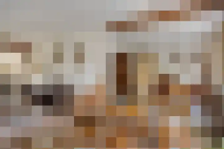 Tusseler 113 Lochem thumbnail 8