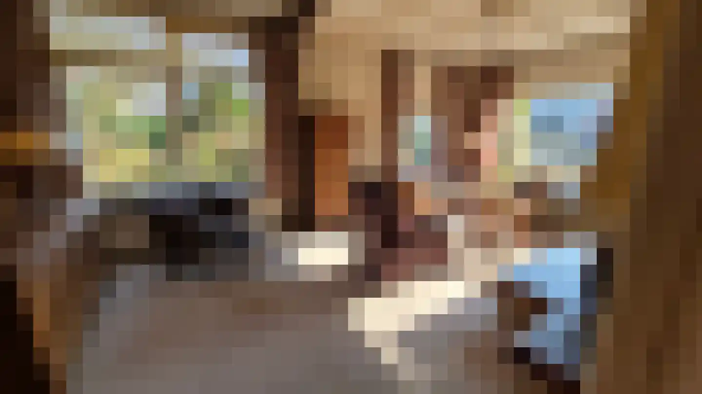 Tusseler 144 Lochem thumbnail 14