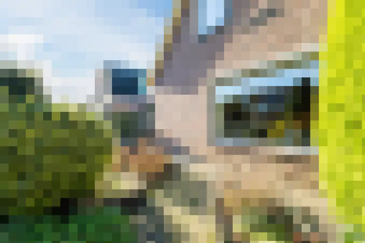Tusseler 144 Lochem thumbnail 42