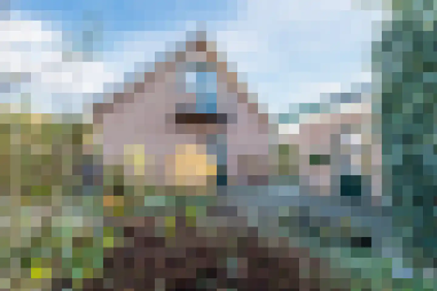 Tusseler 144 Lochem thumbnail 45