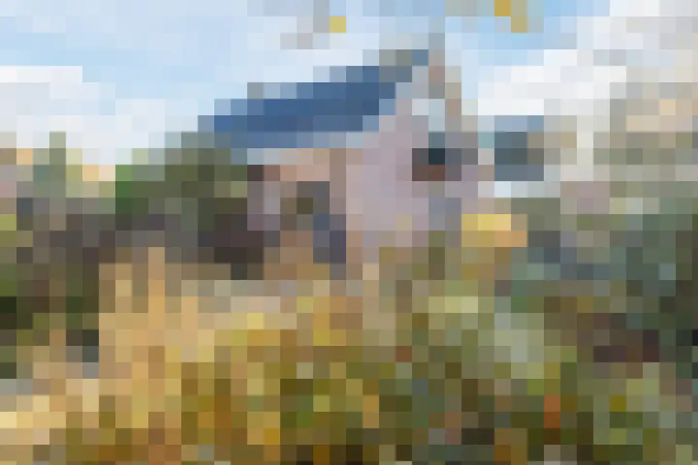 Tusseler 144 Lochem thumbnail 46