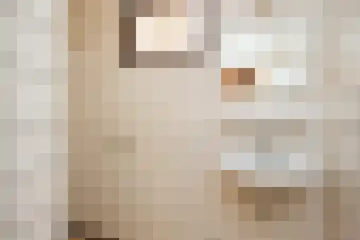 Tusseler 15 Lochem thumbnail 21