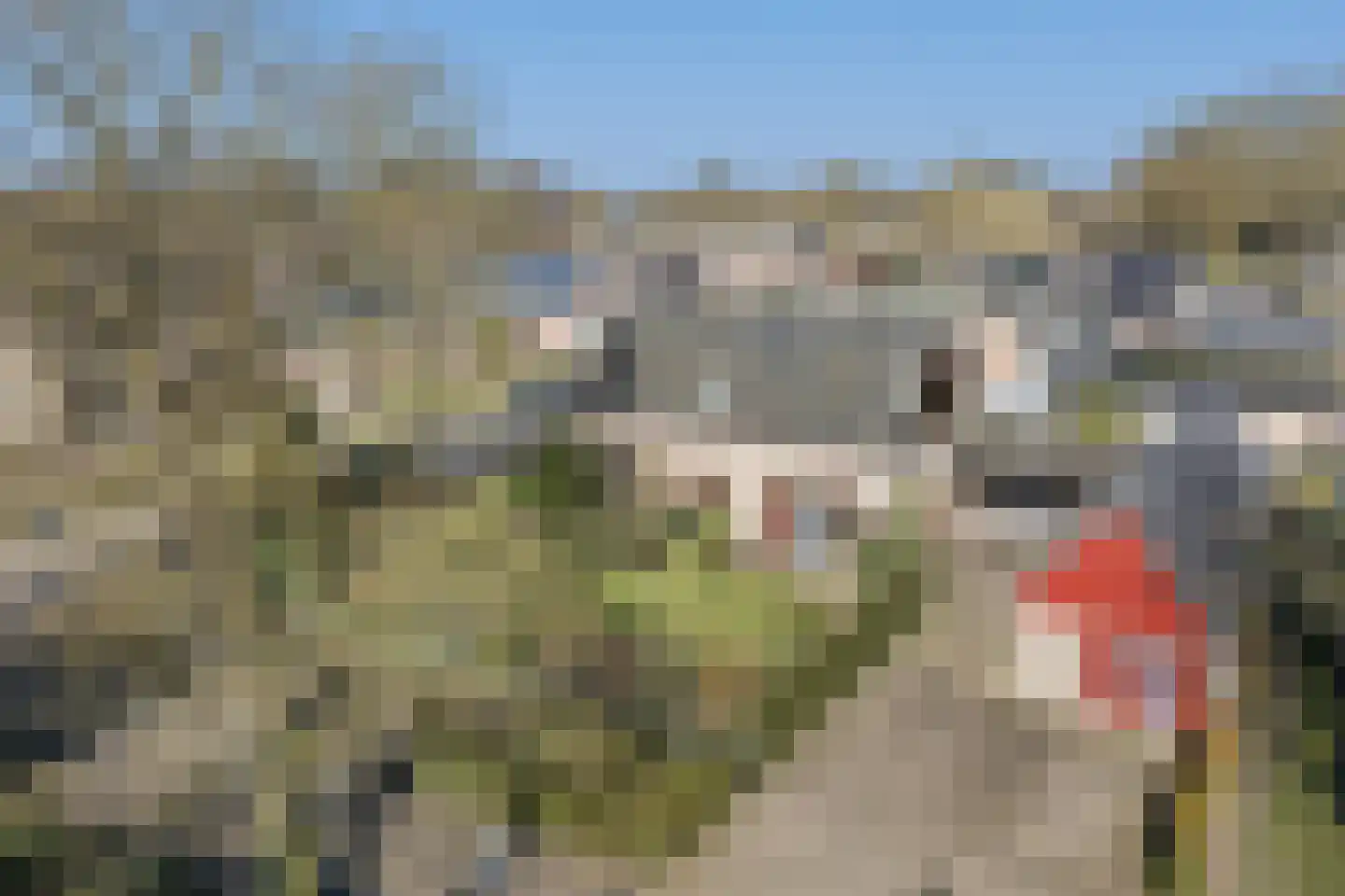 Tusseler 15 Lochem thumbnail 31