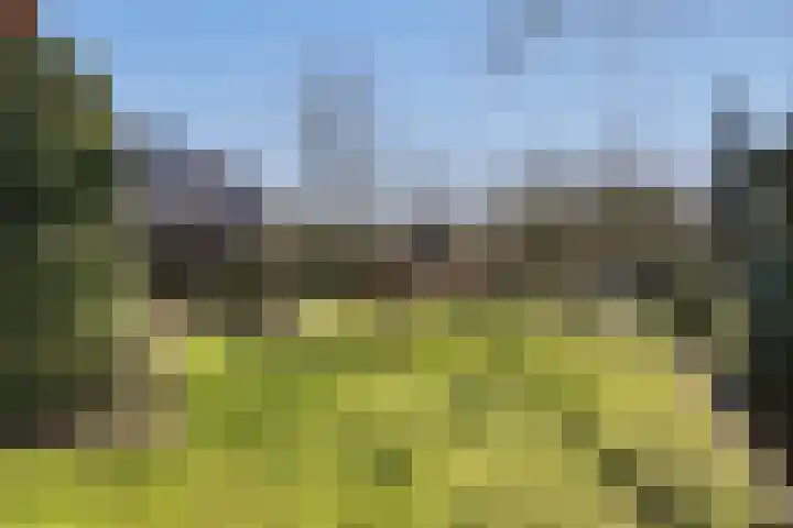 Tusseler 15 Lochem thumbnail 35
