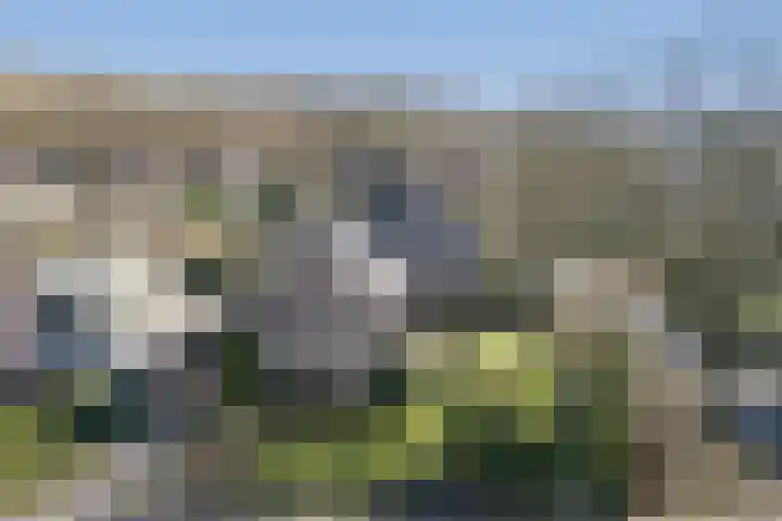 Tusseler 15 Lochem thumbnail 38