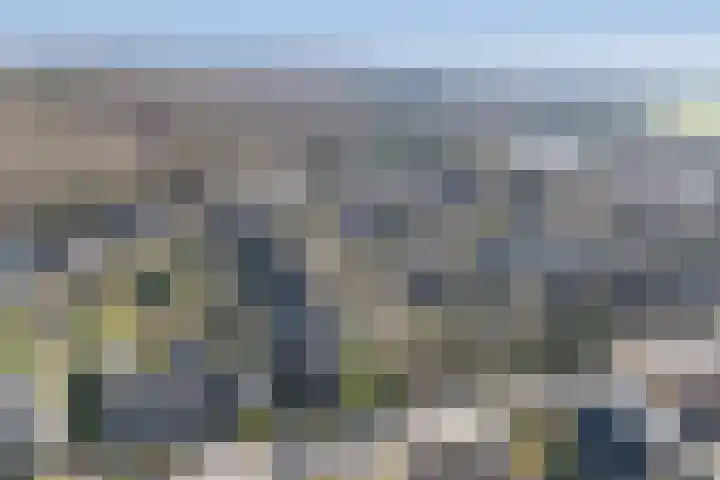 Tusseler 15 Lochem thumbnail 43