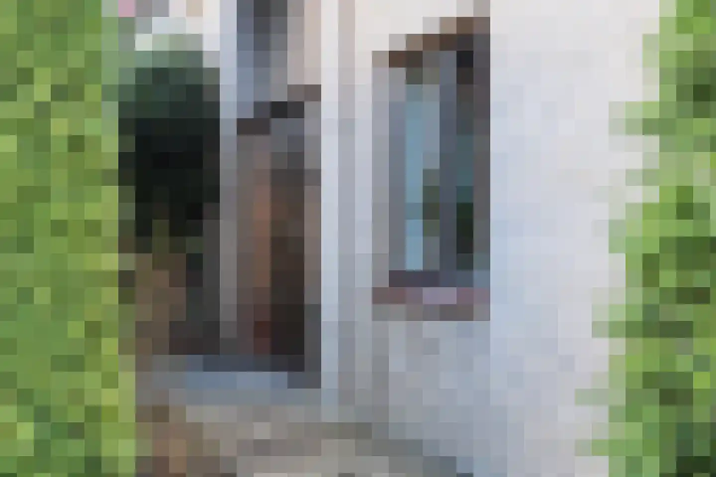 Tusseler 15 Lochem thumbnail 6