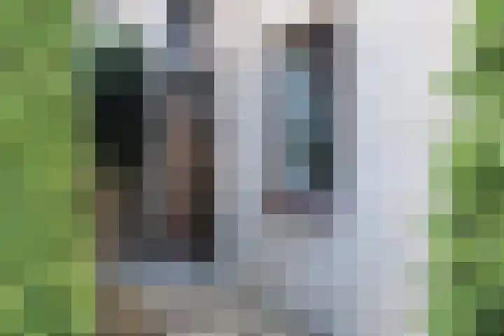 Tusseler 15 Lochem thumbnail 6