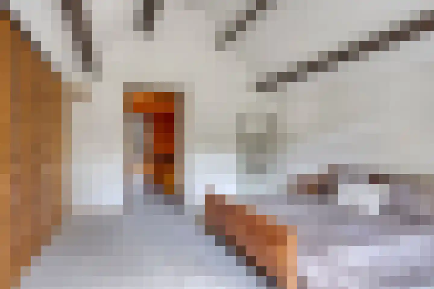 Tusseler 164 Lochem thumbnail 30