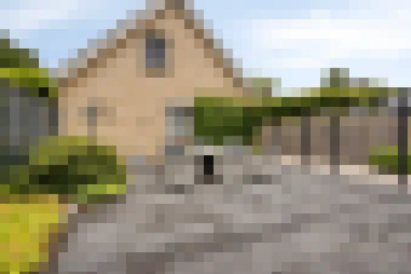 Tusseler 164 Lochem thumbnail 33