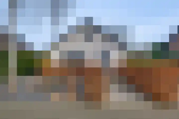 Tusseler 182 Lochem thumbnail 28