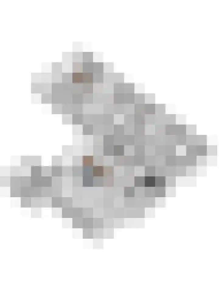 Tusseler 48 a Lochem thumbnail 44