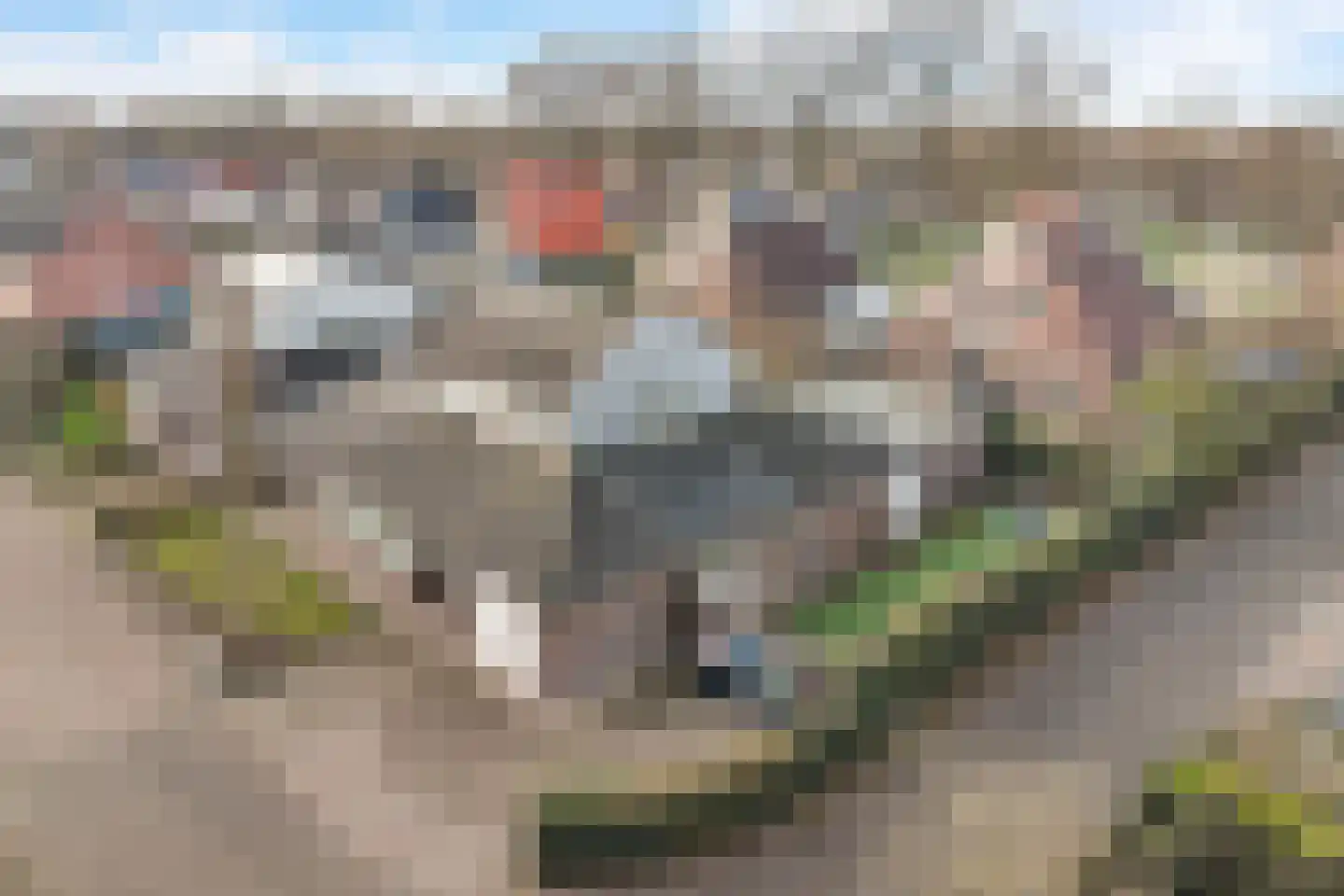 Tusseler 48 a Lochem thumbnail 7