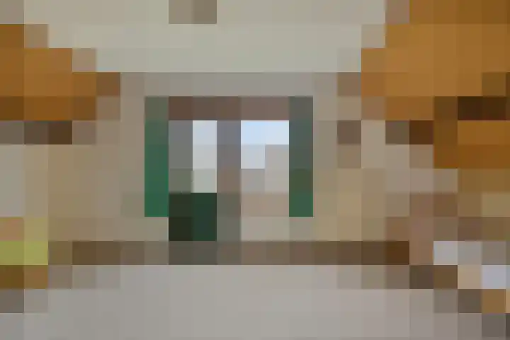 Tusseler 85 Lochem thumbnail 31