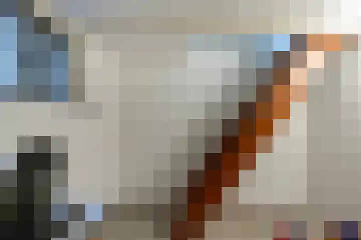 Tusseler 85 Lochem thumbnail 42
