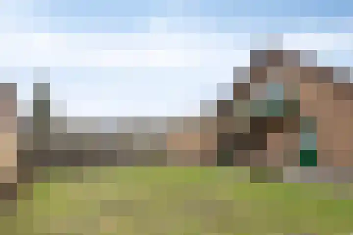 Tusseler 85 Lochem thumbnail 44