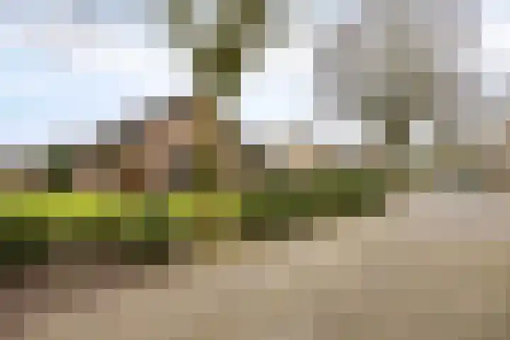 Tusseler 85 Lochem thumbnail 49