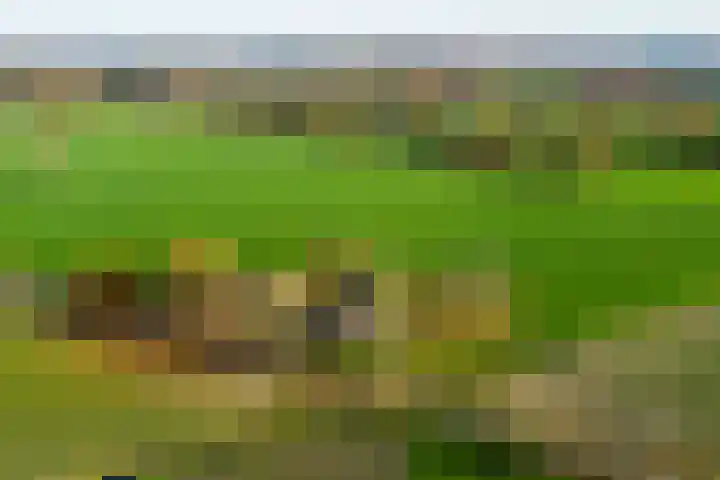 Tusselersveenweg 1 Lochem thumbnail 27