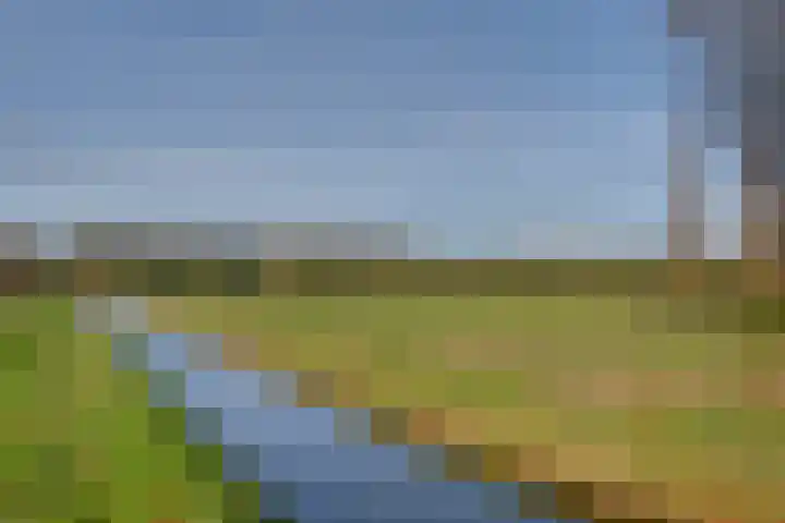 Tusselersveenweg 1 Lochem thumbnail 28
