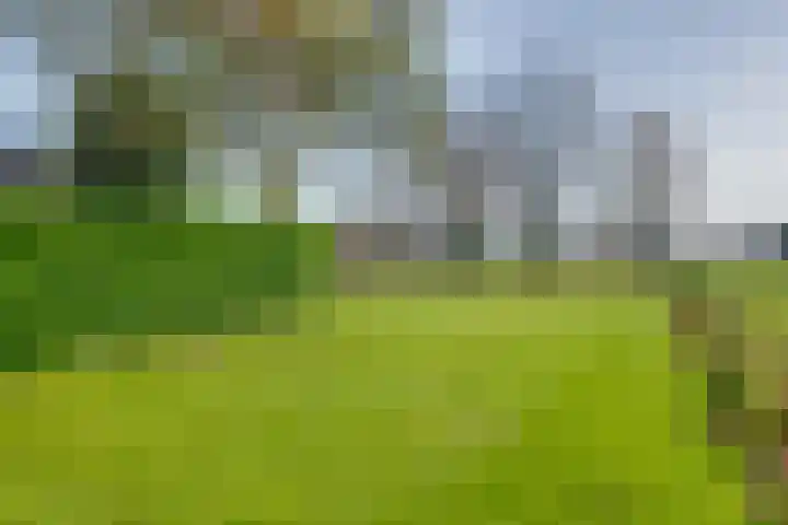 Tusselersveenweg 1 Lochem thumbnail 32