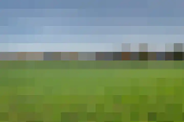 Tusselersveenweg 1 Lochem thumbnail 33