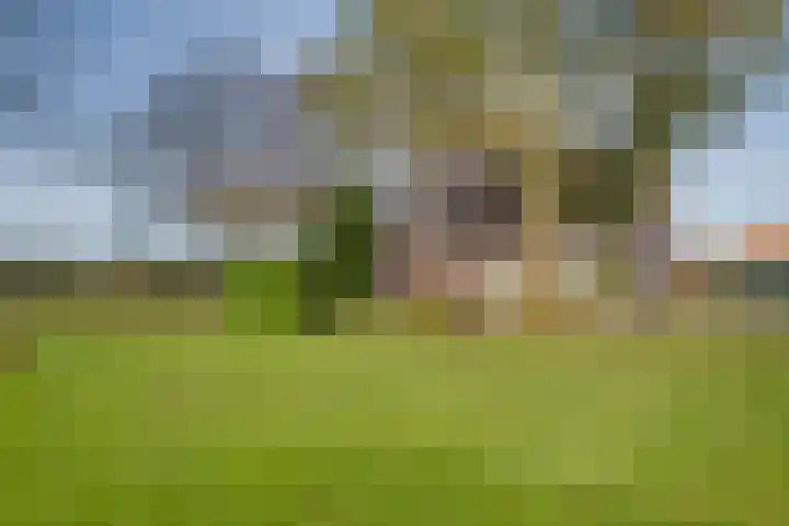 Tusselersveenweg 1 Lochem thumbnail 34