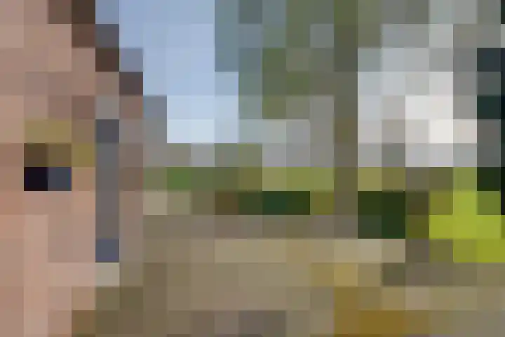 Tusselersveenweg 1 Lochem thumbnail 35