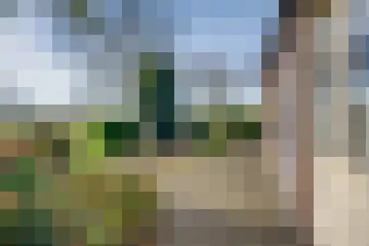 Tusselersveenweg 1 Lochem thumbnail 36