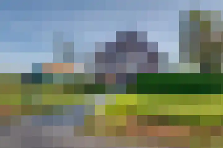 Tusselersveenweg 1 Lochem thumbnail 37
