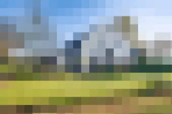 Tusselersveenweg 1 Lochem thumbnail 38