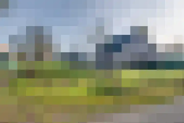 Tusselersveenweg 1 Lochem thumbnail 39