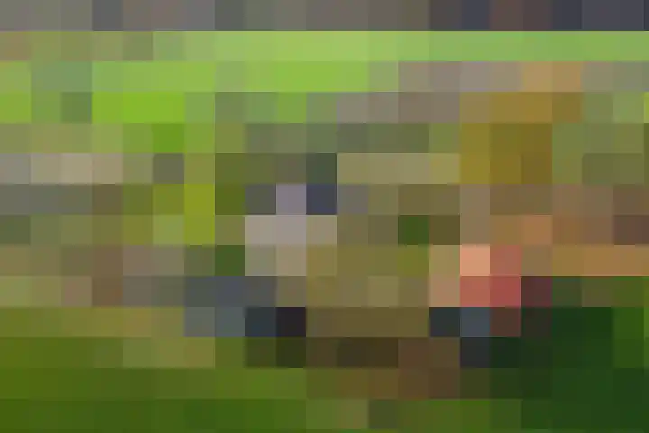 Tusselersveenweg 1 Lochem thumbnail 4