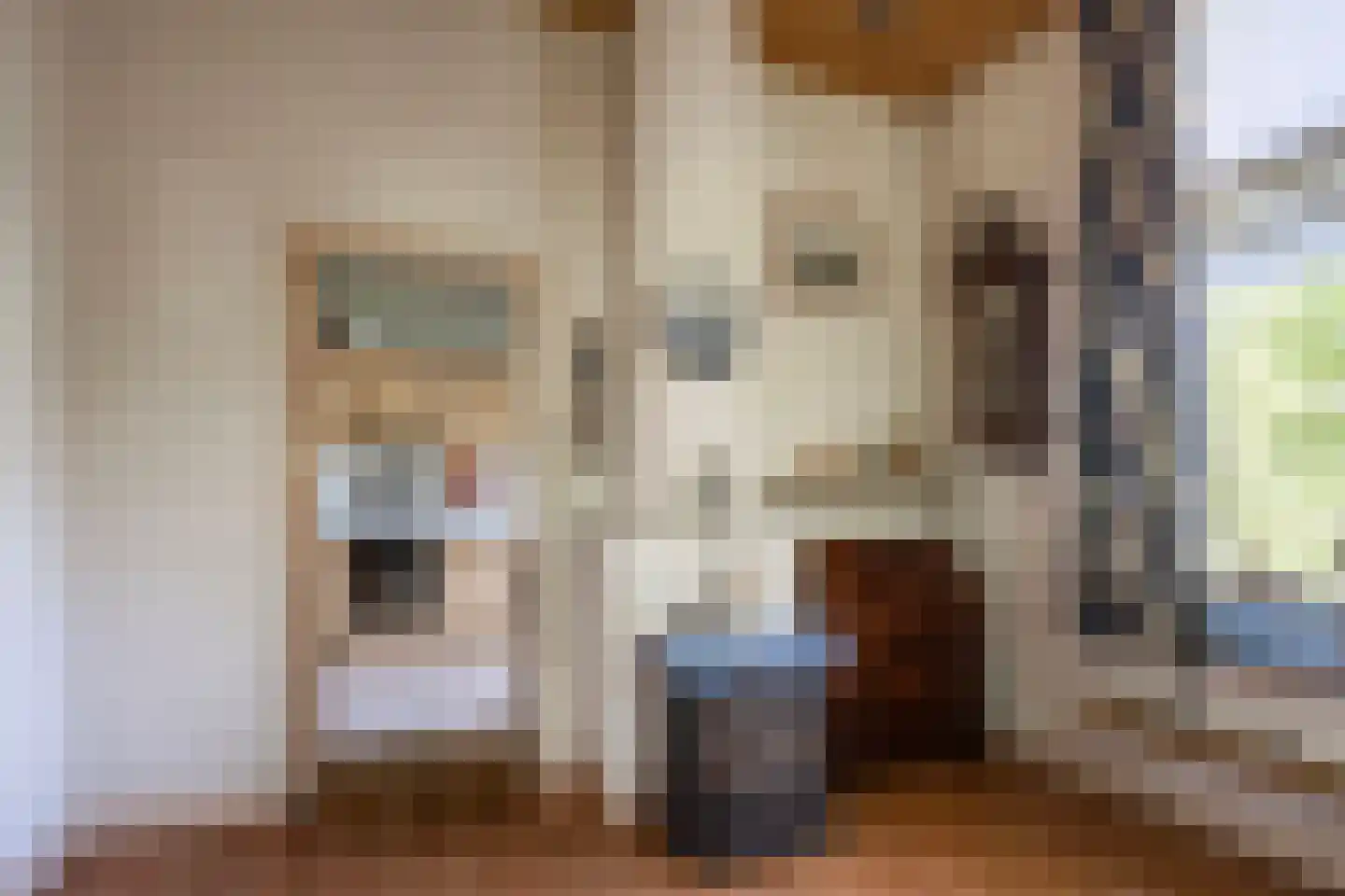 Tusselersveenweg 2 Lochem thumbnail 13