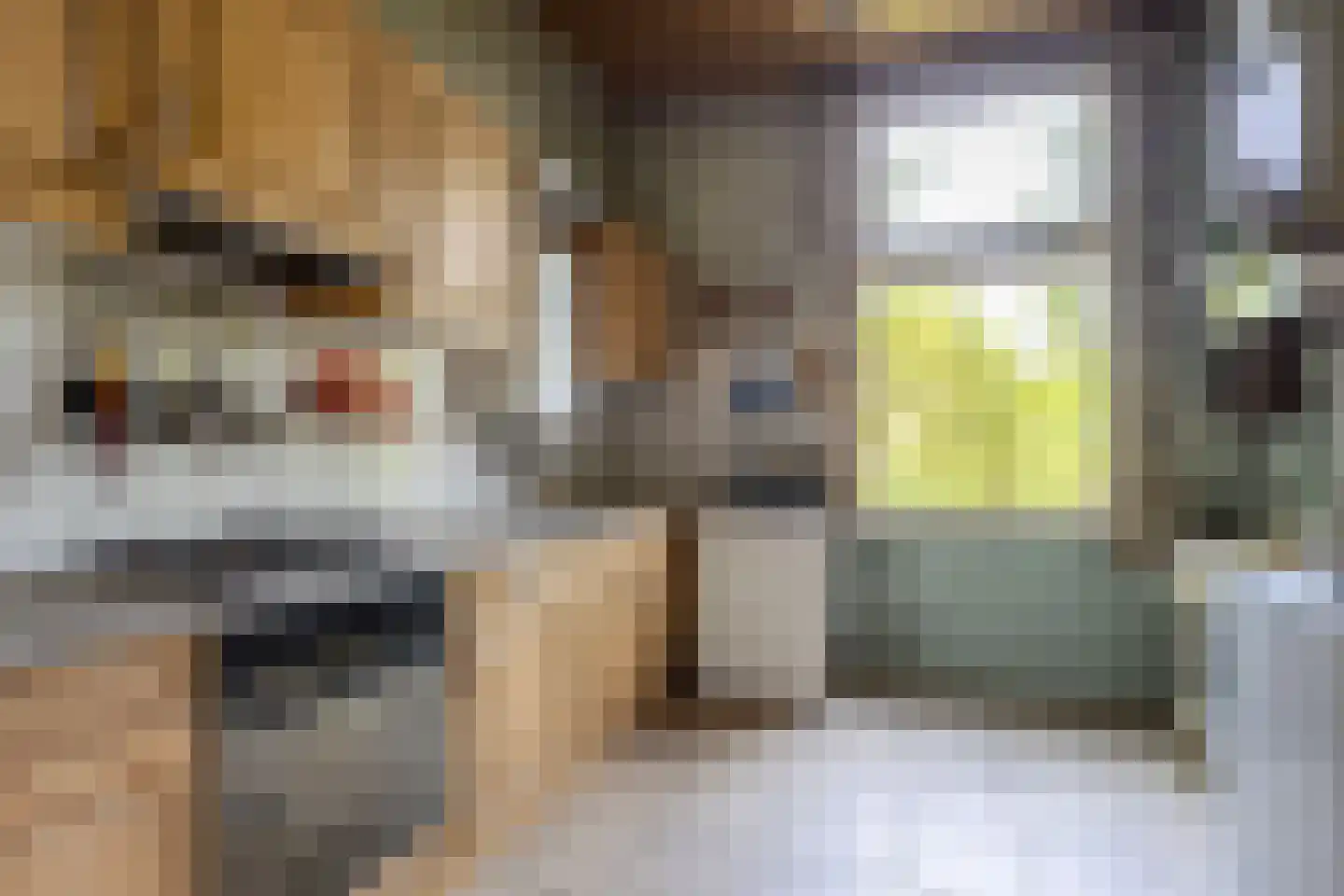 Tusselersveenweg 2 Lochem thumbnail 14