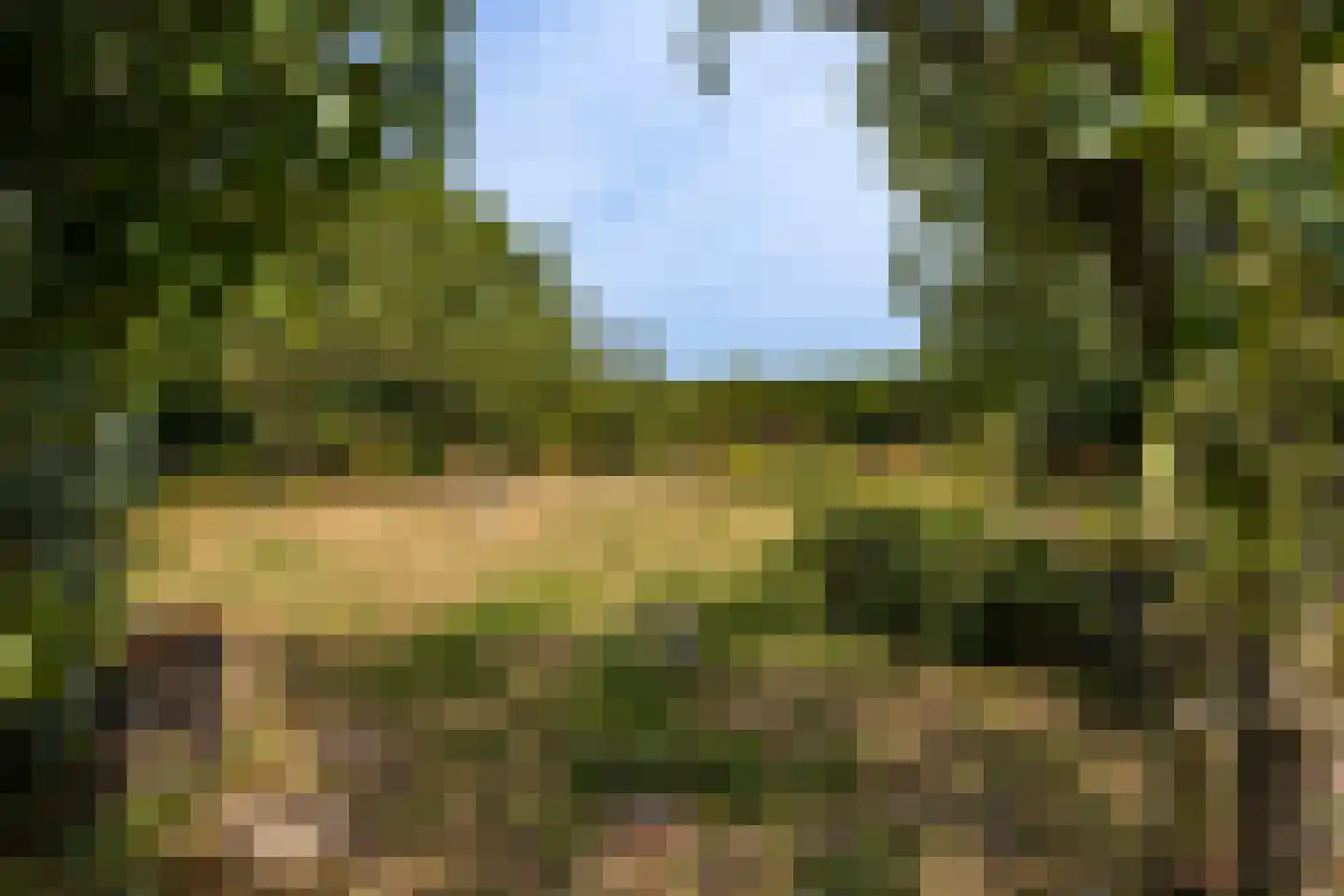 Tusselersveenweg 2 Lochem thumbnail 23
