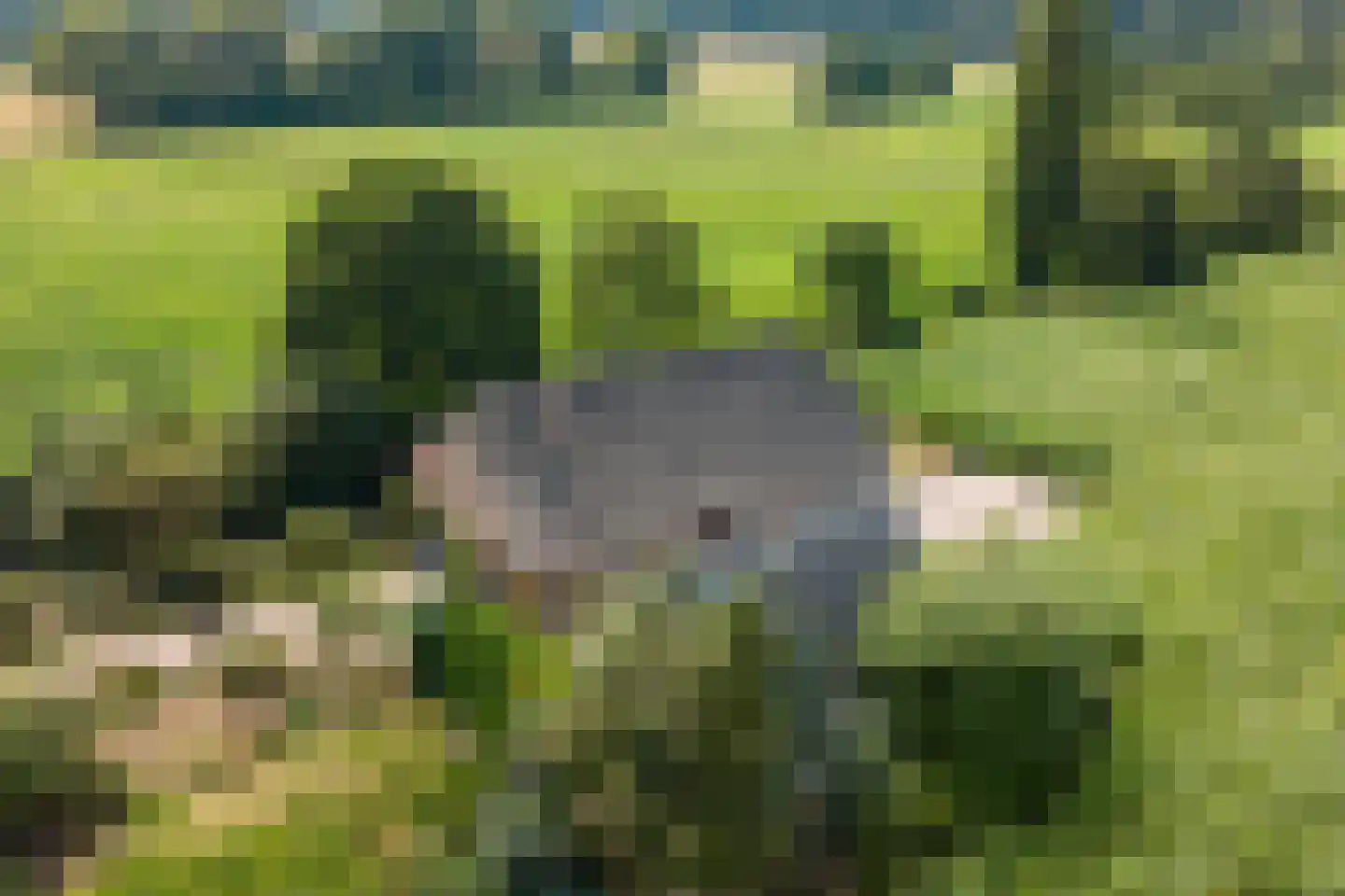 Tusselersveenweg 2 Lochem thumbnail 24