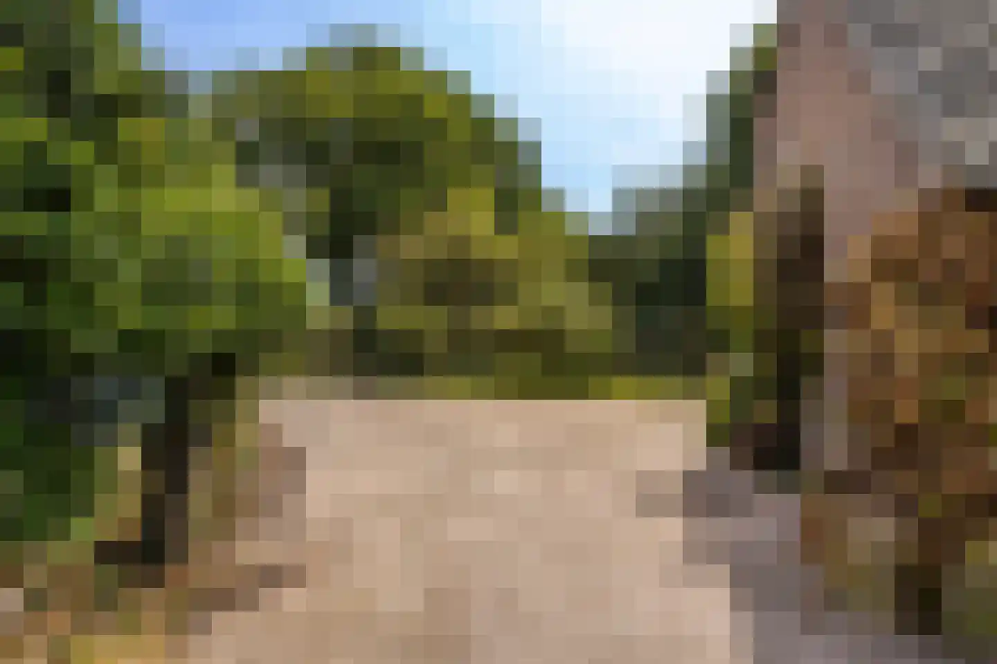 Tusselersveenweg 2 Lochem thumbnail 30