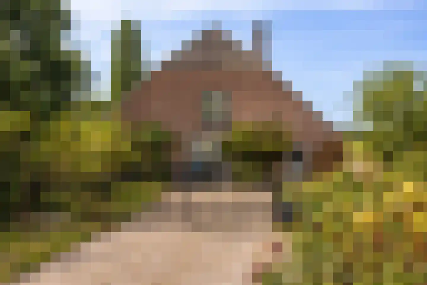 Tusselersveenweg 2 Lochem thumbnail 32