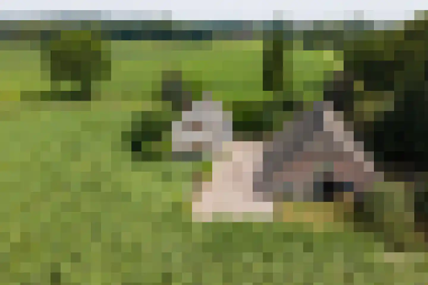 Tusselersveenweg 2 Lochem thumbnail 34