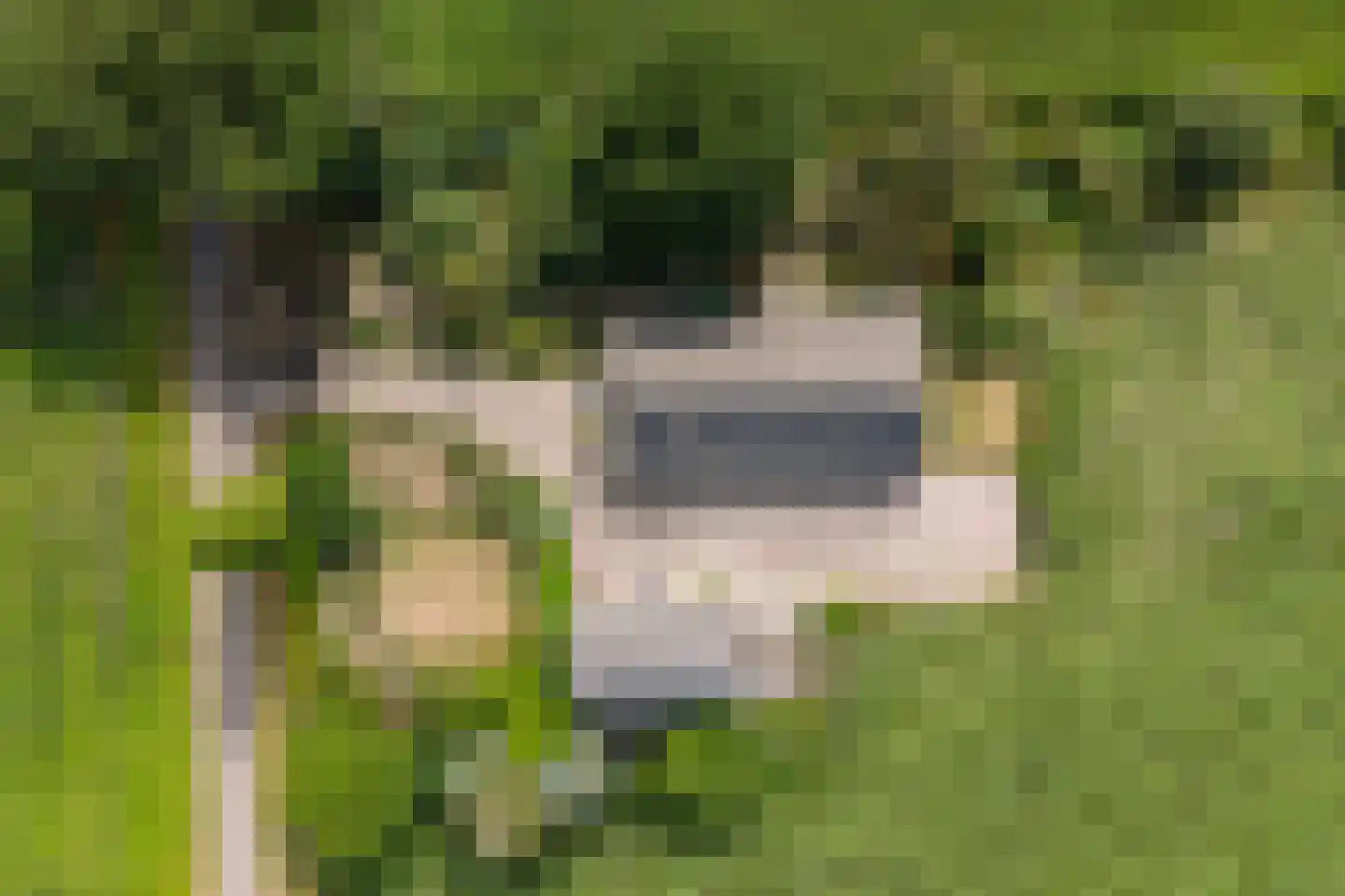 Tusselersveenweg 2 Lochem thumbnail 4