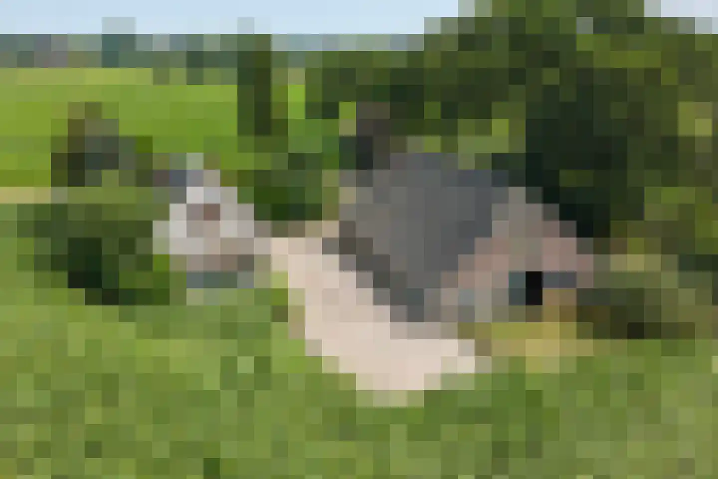 Tusselersveenweg 2 Lochem thumbnail 5