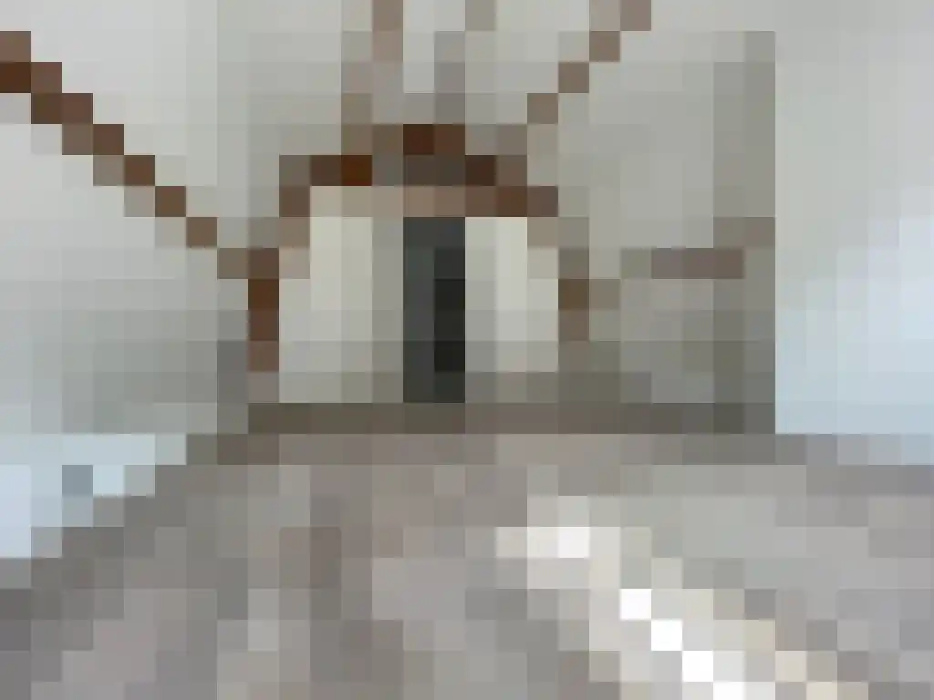 Tussen beide Markten 2 Groningen thumbnail 6